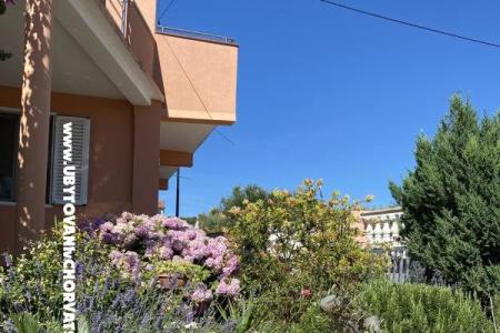 Apartmán  Bibinje Chorvátsko