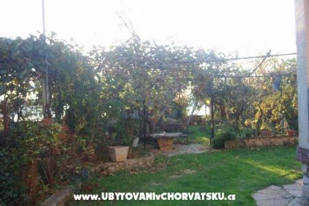 Apartmány and Dom Spika foto 5