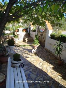 Apartmány Sandra foto 2