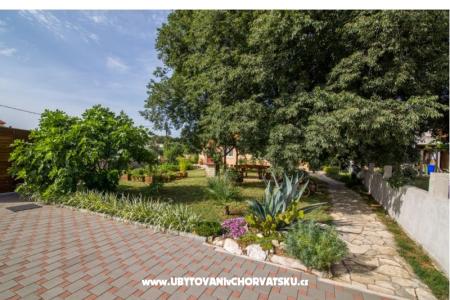 Studio apartmani Petra foto 4