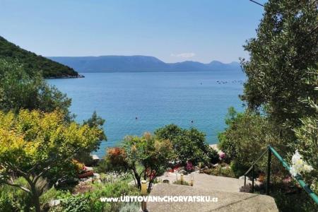 Apartmány Maja Blace Chorvátsko