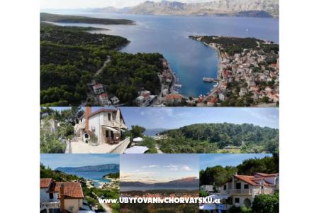 Apartmány Villa Dragica foto 2
