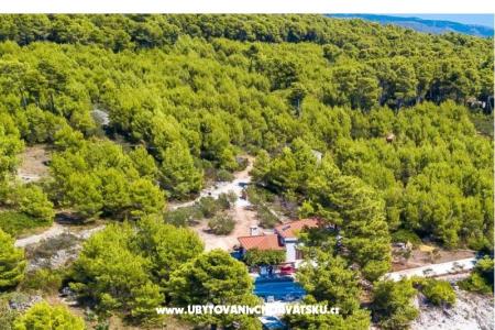 Family Dom Futura foto 4