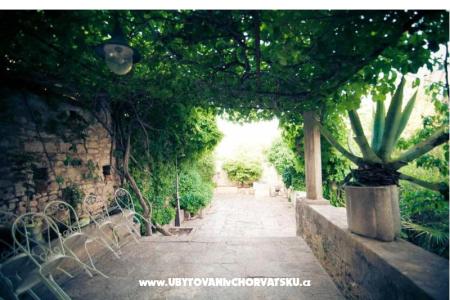 Villa Arboretum foto 3