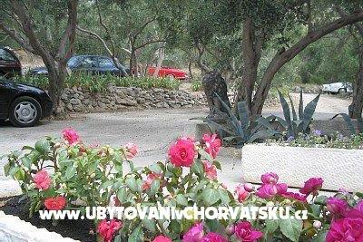Apartmány Nada Mustapić foto 3