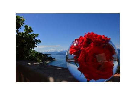 Apartmány Perla Brela Chorvátsko