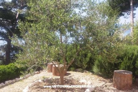 Apartmány Vesna  - Brela foto 5