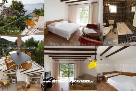 Apartmány Jagoda foto 5