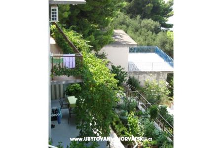 Apartmány  Ivo Pikolo foto 4