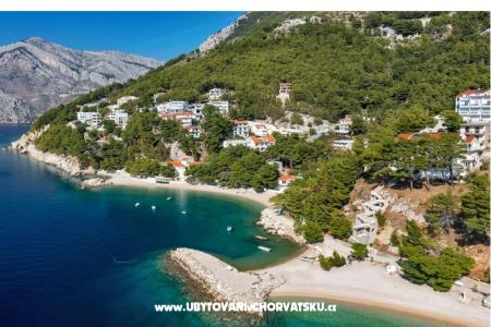 Pine Canopy Studios and Apartmány foto 4