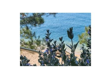 Prázdninový dom foto 4