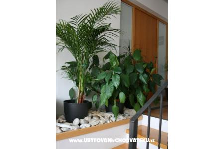 Apartmány Katarina foto 4