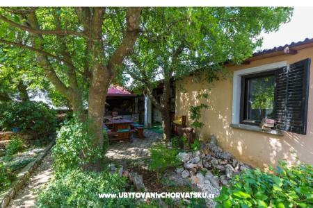 Luka Sočković foto 3