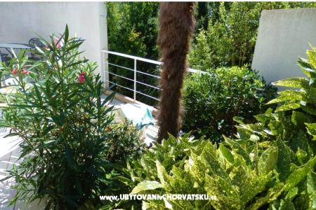 Villetta Magnolia foto 2