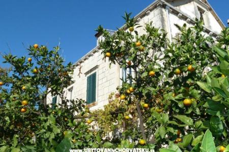 Apartmány Mir Dubrovnik foto 2