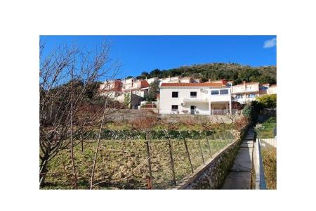 Apartmán Markovic foto 2