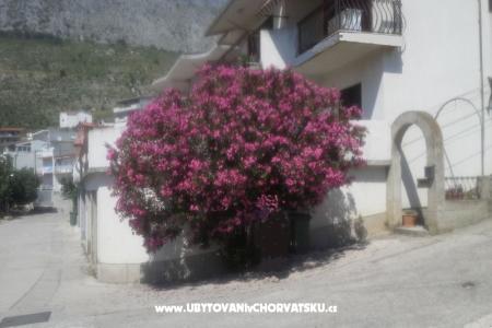 Apartmán Pero foto 3