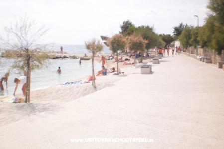 Skockica foto 2