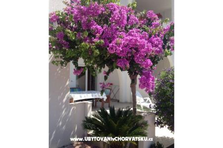 Villa Orij Apartmány foto 5