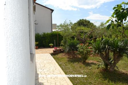 Vila Nona Ivka foto 4