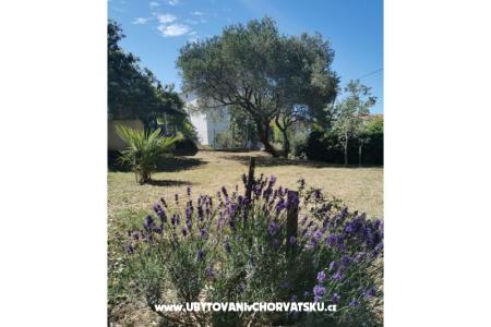 Apartmány Dijana foto 2