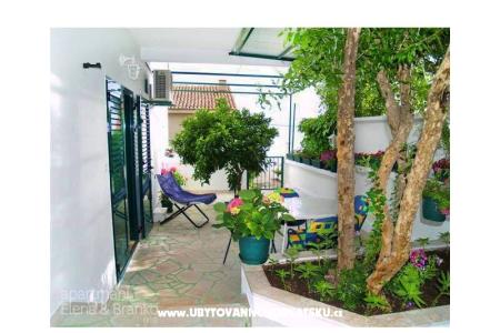 Apartmány Elena  foto 2