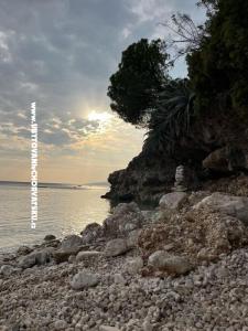 Apartmány NIKOLA foto 5