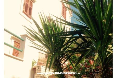 Apartmány Belić  foto 5