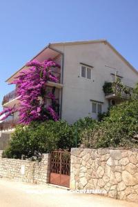 Apartmán Lazaneo Tomislav foto 2