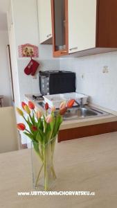 Apartmán Smokva - Villa Tudor foto 5