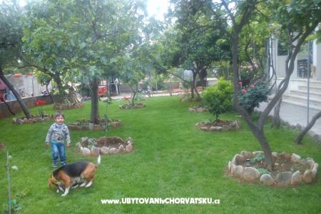 Jadranka Franičević foto 2