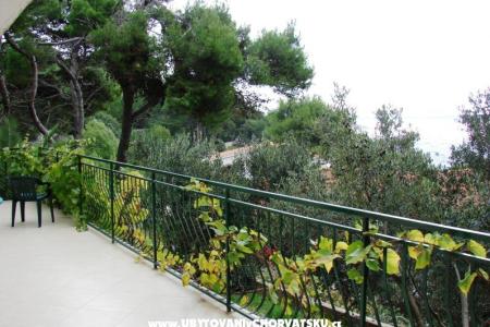 Villa Magnolia foto 3