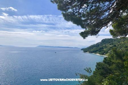 Apartmány  Ines Igrane Chorvátsko