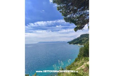 Apartmány  Ines foto 4