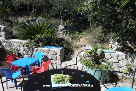 Apartmány Šime Pelješac foto 5