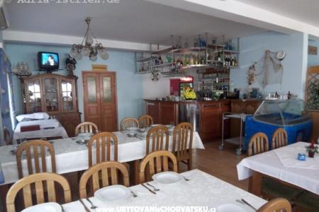 Apartmány Delfin foto 5