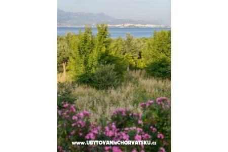 Apartmány Tonka foto 4