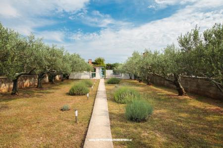 Dom na pláži foto 2