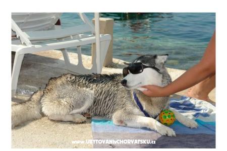 AG Komarna | Pelješac B. Apartmány Klek Chorvátsko