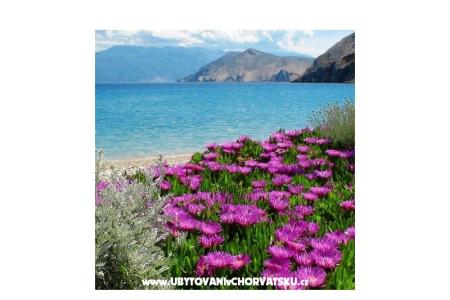 Apartmány Capic foto 3