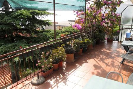 Apartmán Dobrinić foto 3