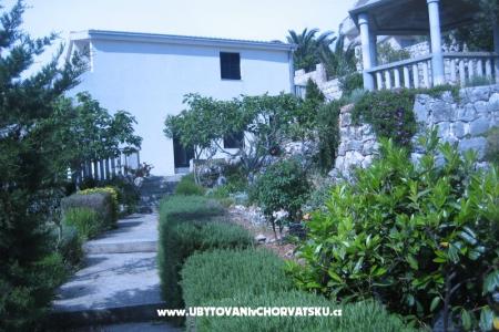 Apartmány Punta  foto 2