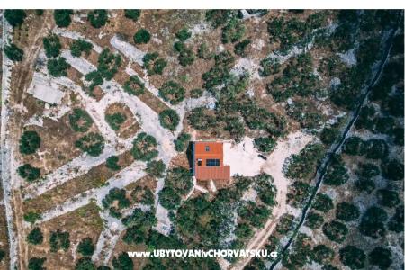 Green Dom (Dogs are welcome) foto 2