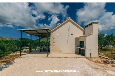 Green Dom (Dogs are welcome) foto 5