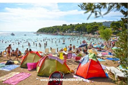 Kemp Rehut Murter Slanica Murter Chorvátsko