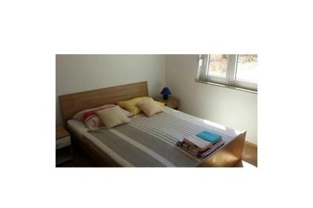 Adria Novalja holiday apartments  foto 5