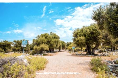 Apartmány Šegota foto 2