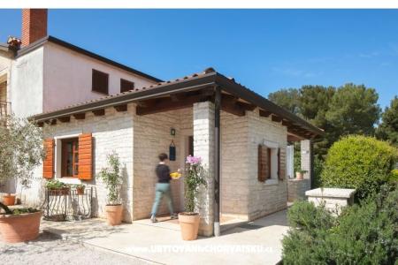 Antonia Novigrad Chorvátsko