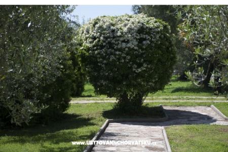 Sanja Apartmány Novigrad foto 3