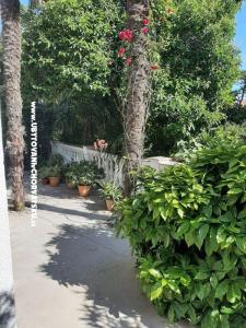 Apartmány Baričević foto 5